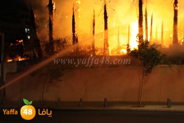 fire minas2 sterer (7).JPG